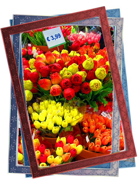 שוק הפרחים באמסטרדם - אירופה עם ילדים