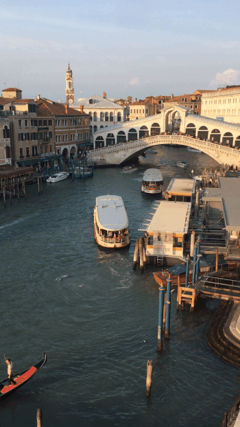 Venice Rialto Bridge