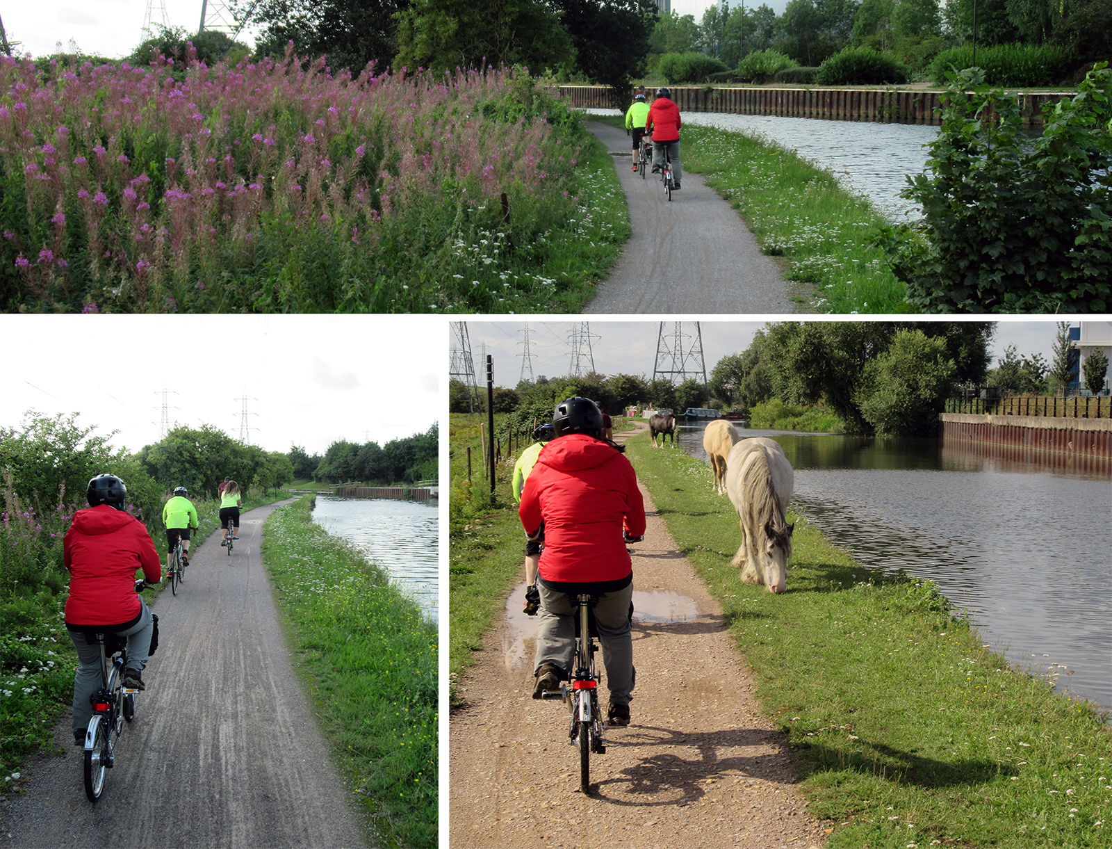 horses River Lea path