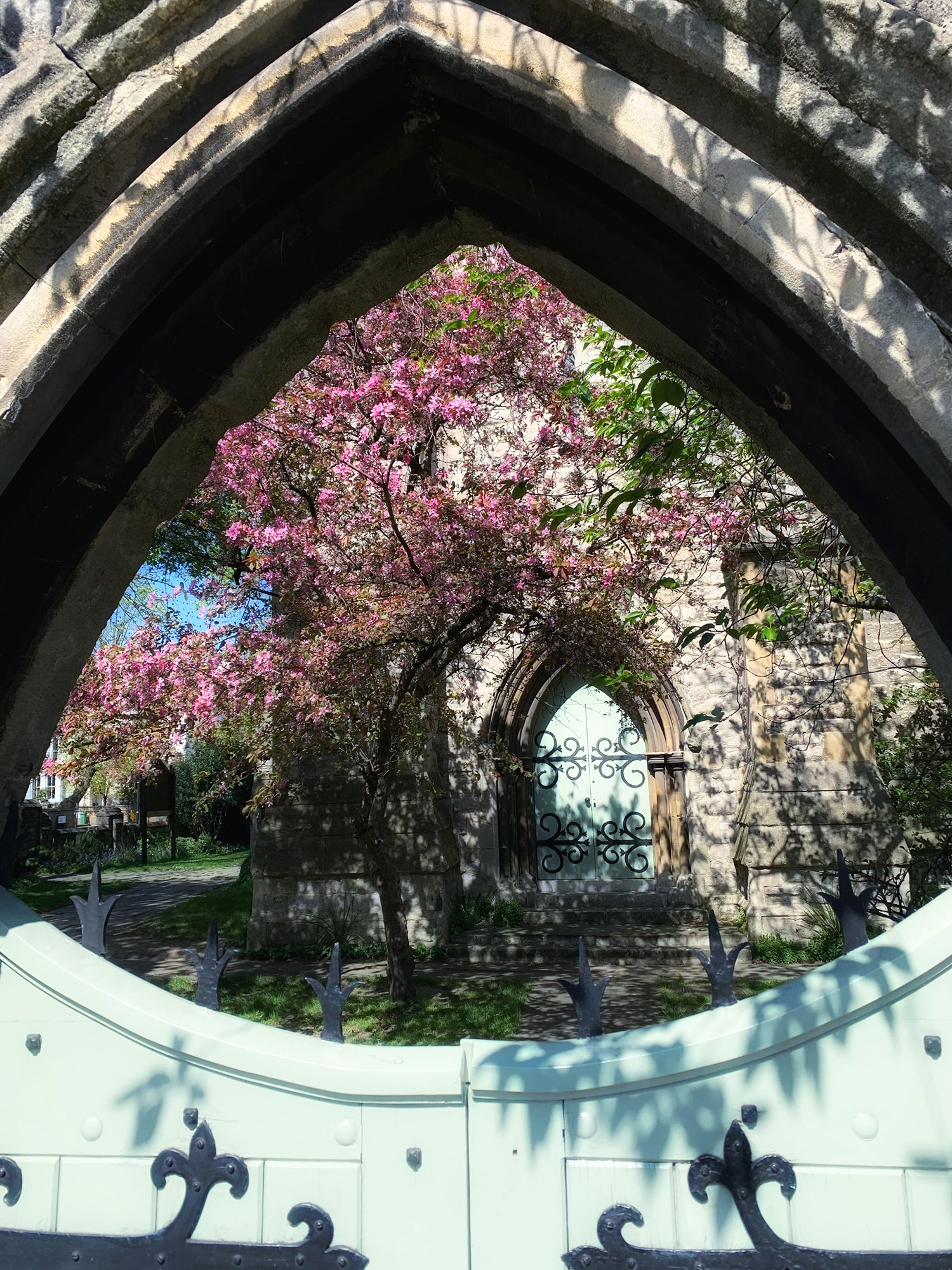 פריחת ניצת הדובדבן - כנסיית סט. מארקס