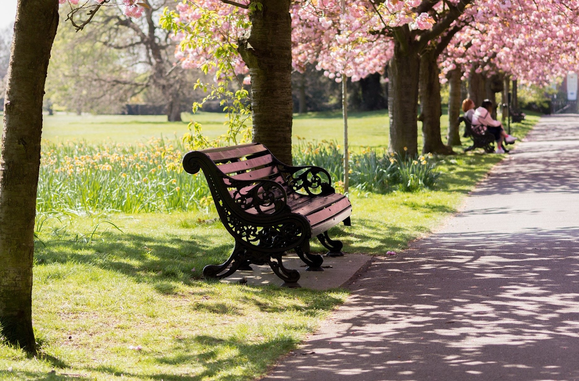 ריג'נטס פארק לונדון