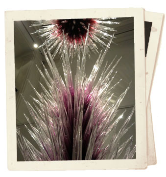 Chihuly in halcyon gallery london Chihuly in halcyon gallery london