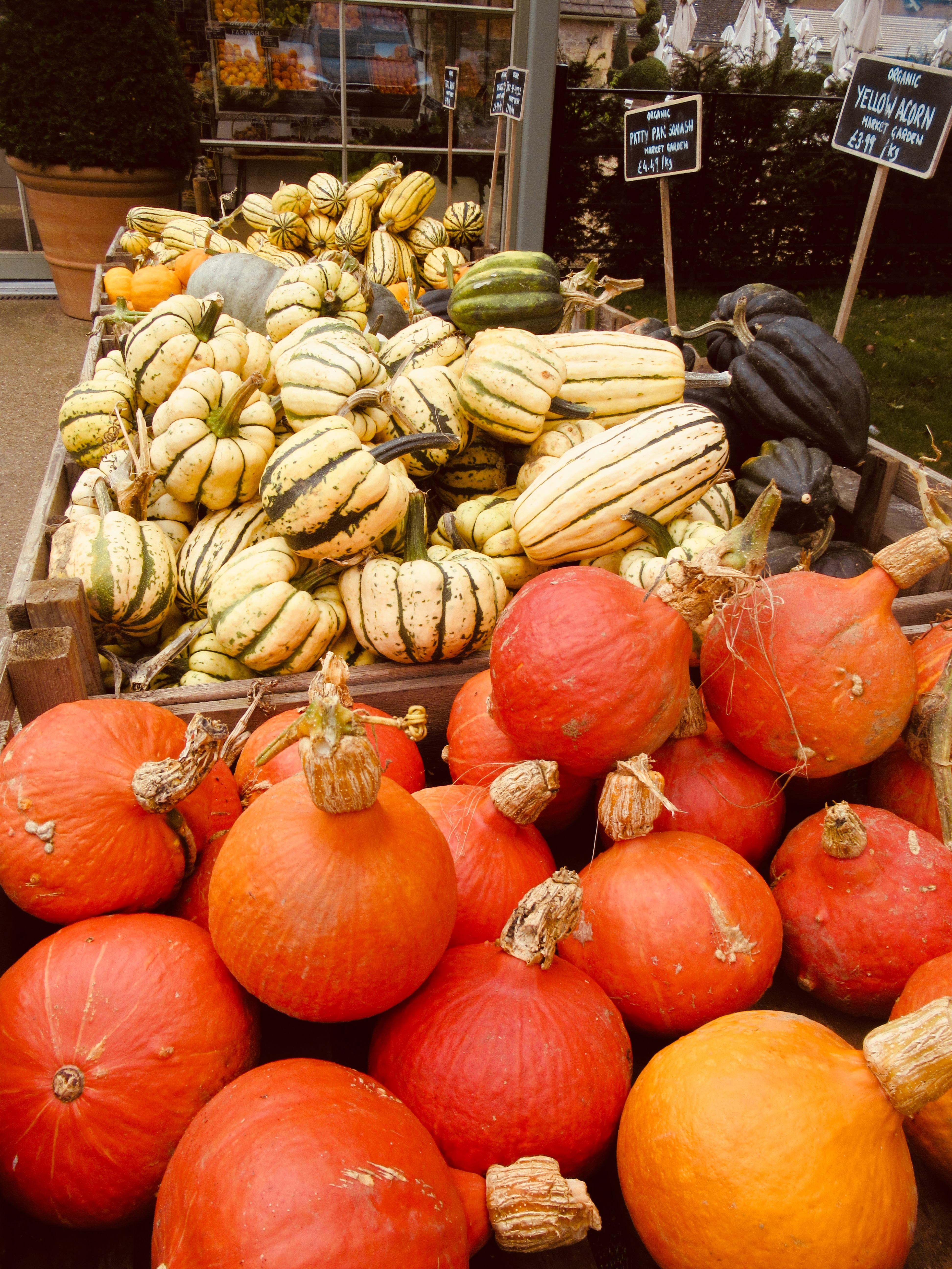 מסעדות בקוטסוולד - חוות דיילספורד