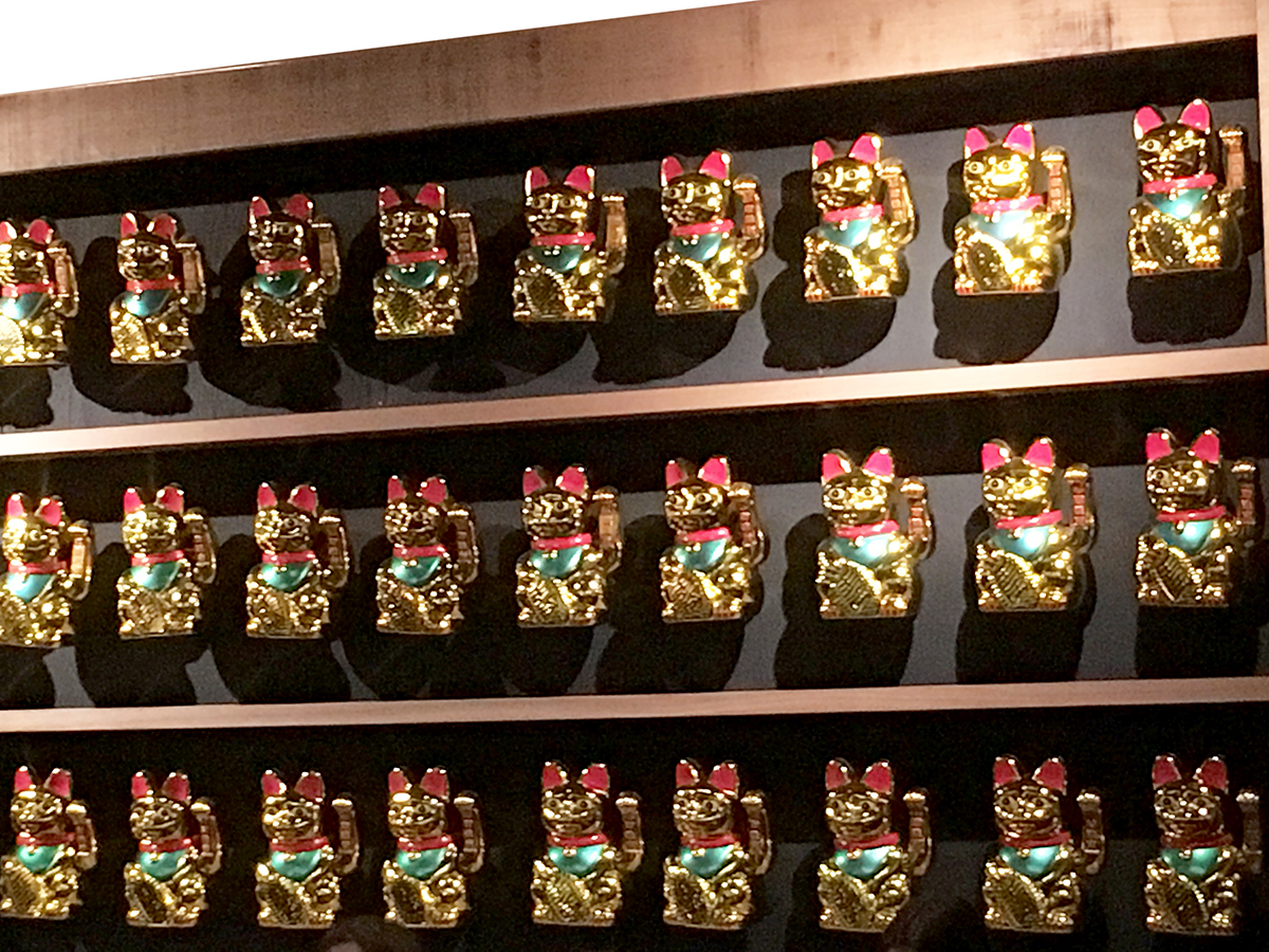 חתולים סיניים בפלאש אנד באן