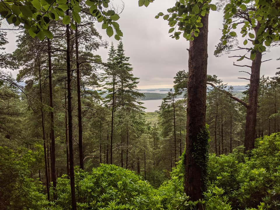יוצאים מלונדון לנופים האירים