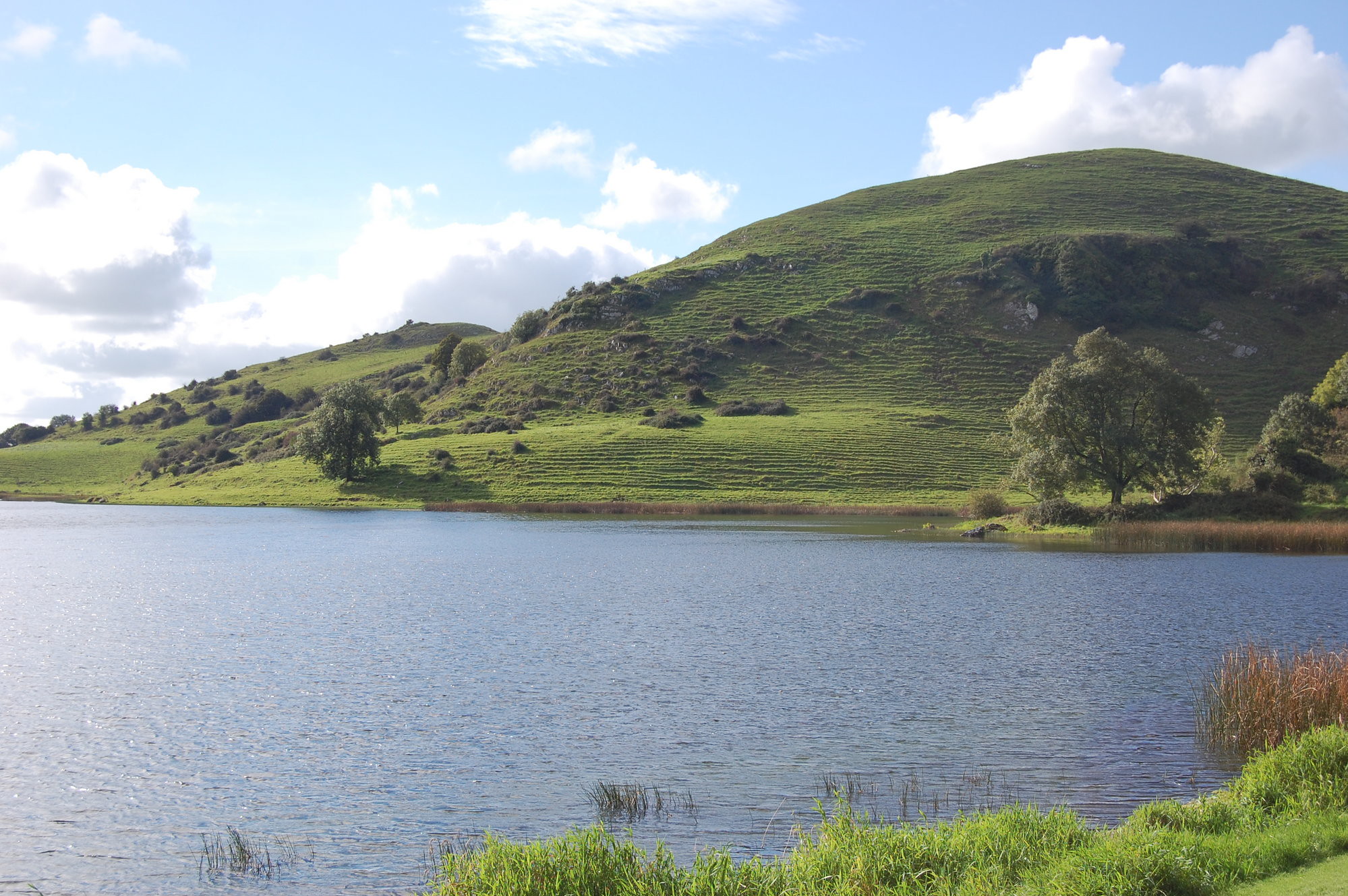לוך גור באירלנד