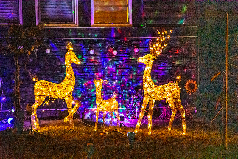 בתים מקושטים בלונדון