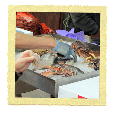 השוק ברחוב מלטבי - שווקים בלונדון השוק ברחוב מלטבי - שווקים בלונדון