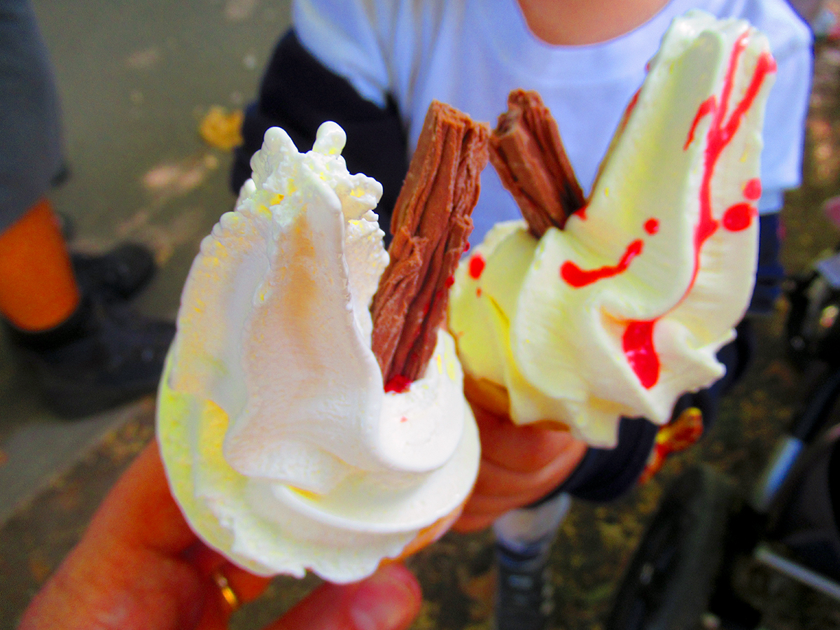 מיסטר סופטי