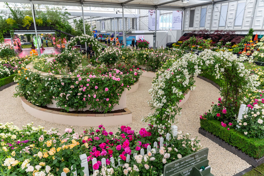 הביתן של אוסטין - גן וורדים סודי בתחרות הפרחים של צ'לסי