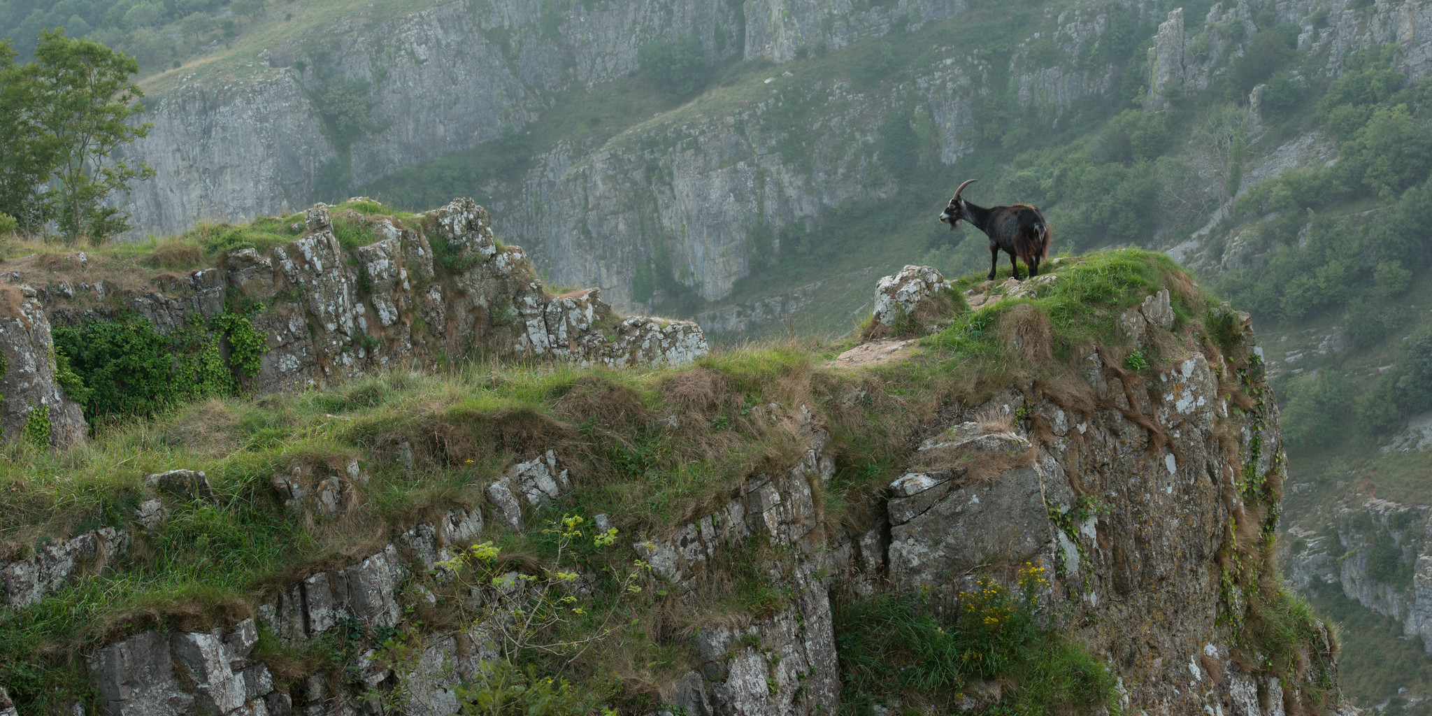 קניון צ'דר - גבעות מנדיפ