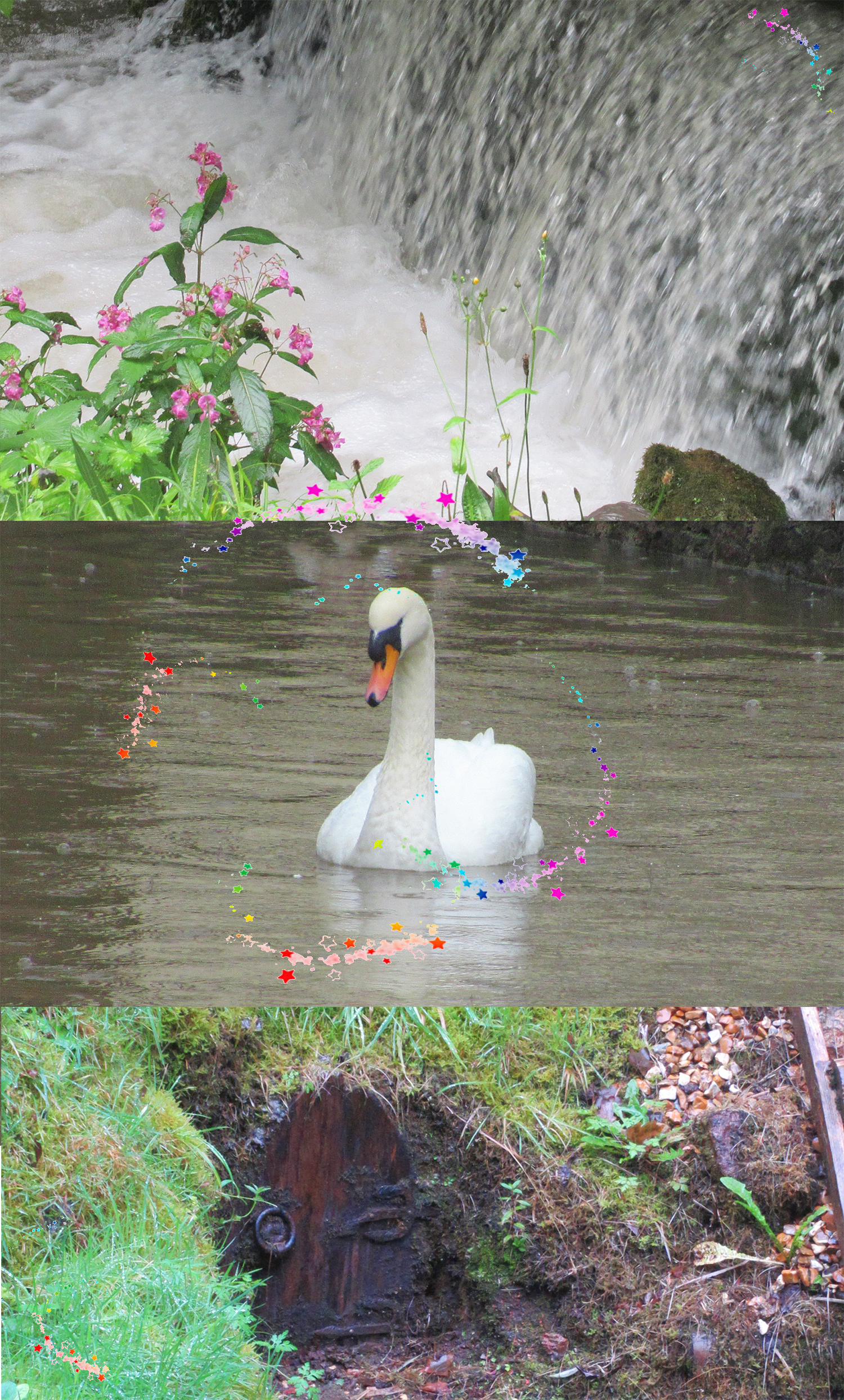 וולס וווקי הול בסומרסט
