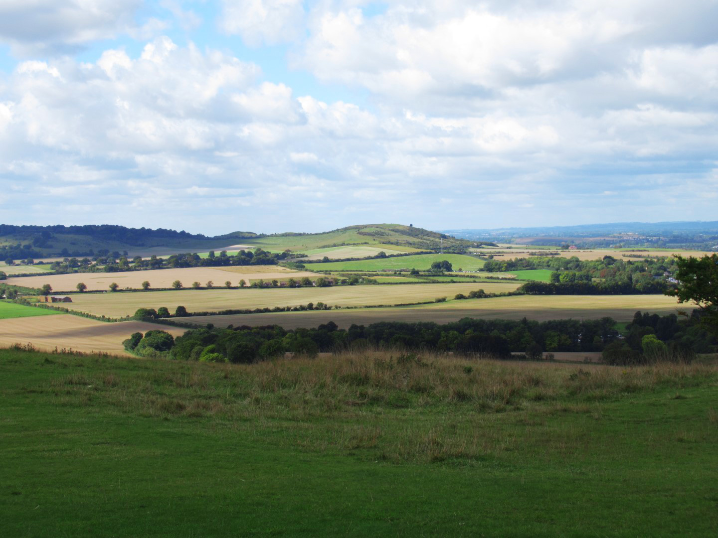 גבעת דנסטייבל - צפון הצ'ילטרנס ליד לונדון