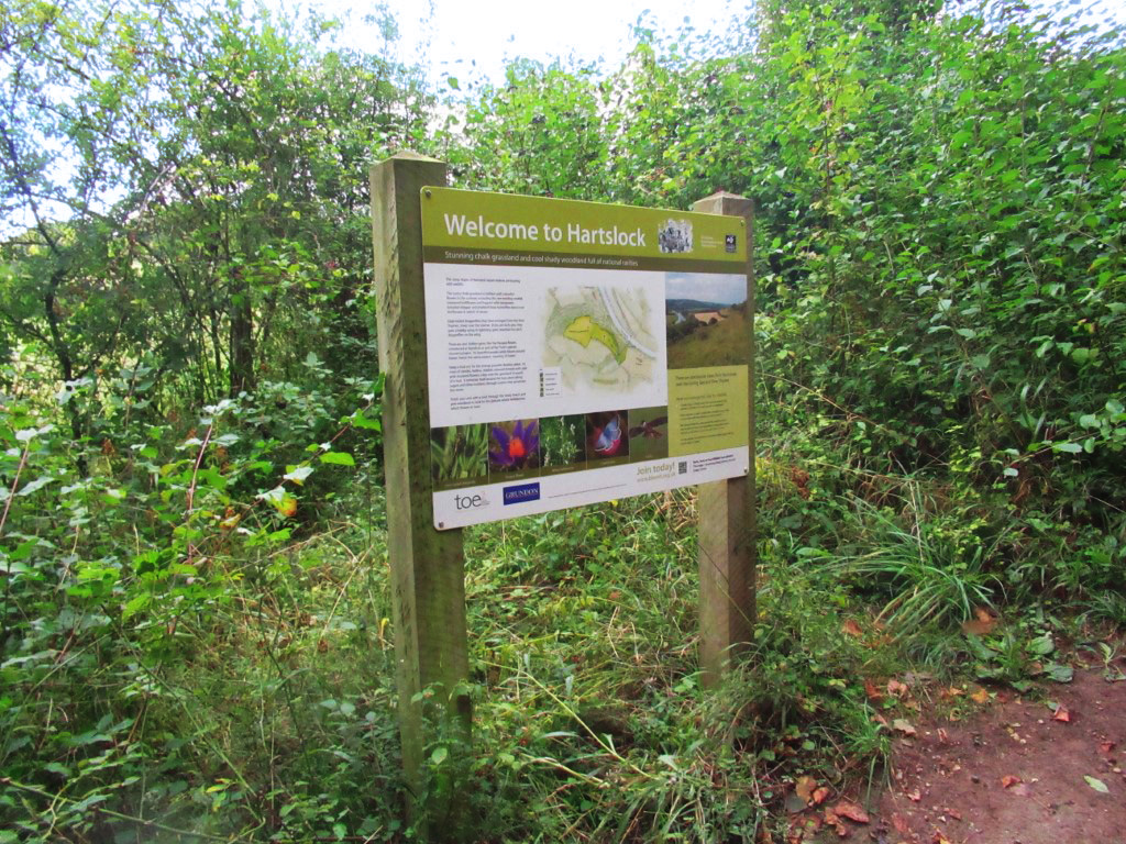 שמורת הטבע הרטסלוק בעמק התמזה