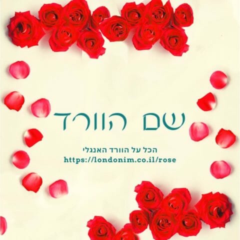 הכל על הורד האנגלייה