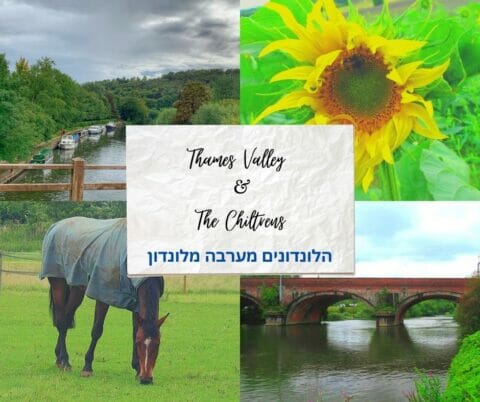 עמק התמזה בריטניה