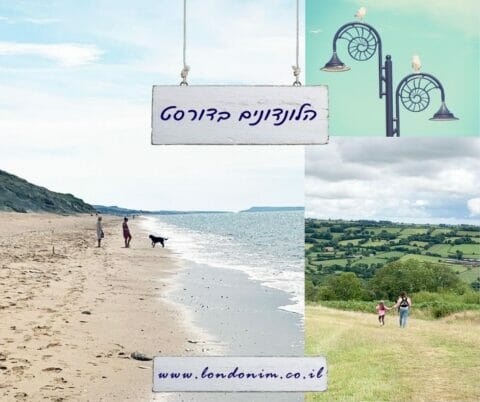 מדריך טיולים דורסט אנגליה